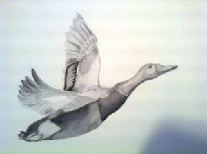 10486184_733082826749656_1991907857669824697_o