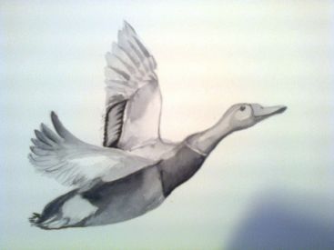 10486184_733082826749656_1991907857669824697_o