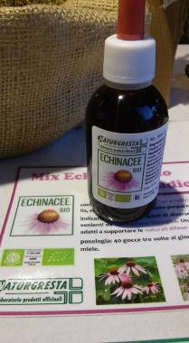 15232085_1252598078131459_5128258522278596373_n