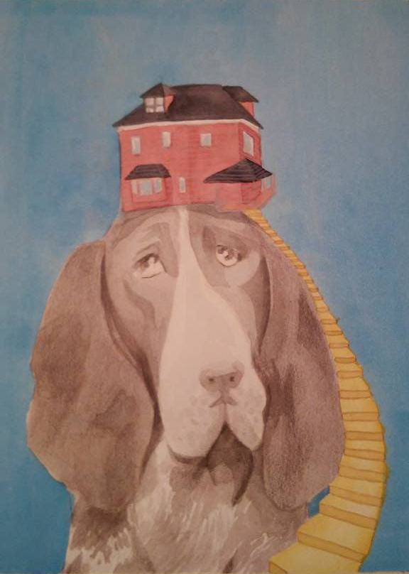 dove c'è un cane c'è una casa