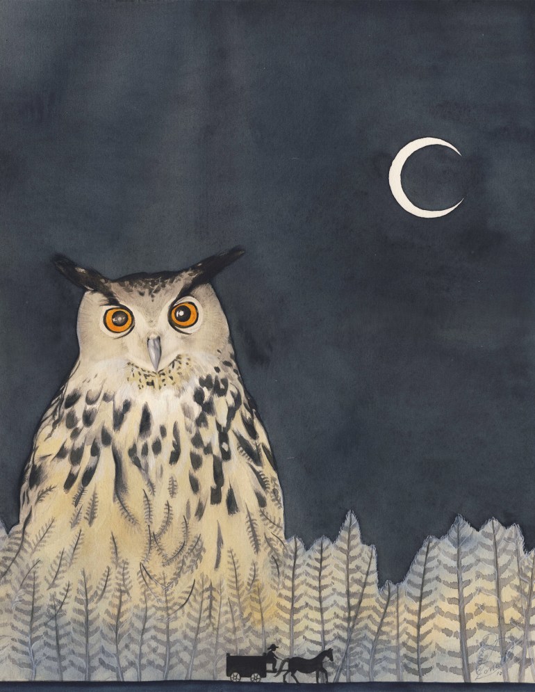 gufo bassa risoluzione